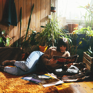 best houseplants 2023 best houseplants 2023