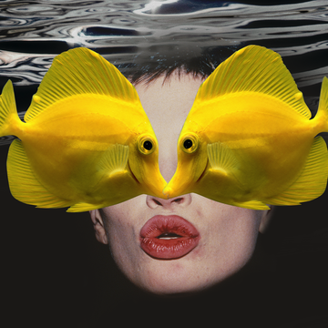 Pisces compatibility two yellow fishes kiss over a person's face